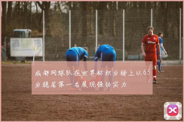 成都网球队在世界杯积分榜上以65分稳居第一名展现强劲实力