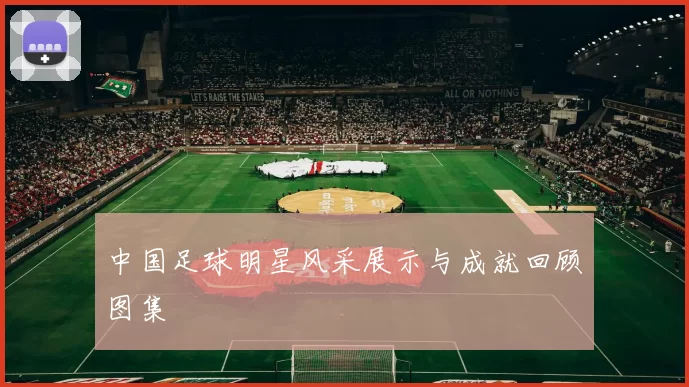 中国足球明星风采展示与成就回顾图集