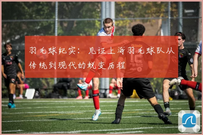 羽毛球纪实：见证上海羽毛球队从传统到现代的蜕变历程