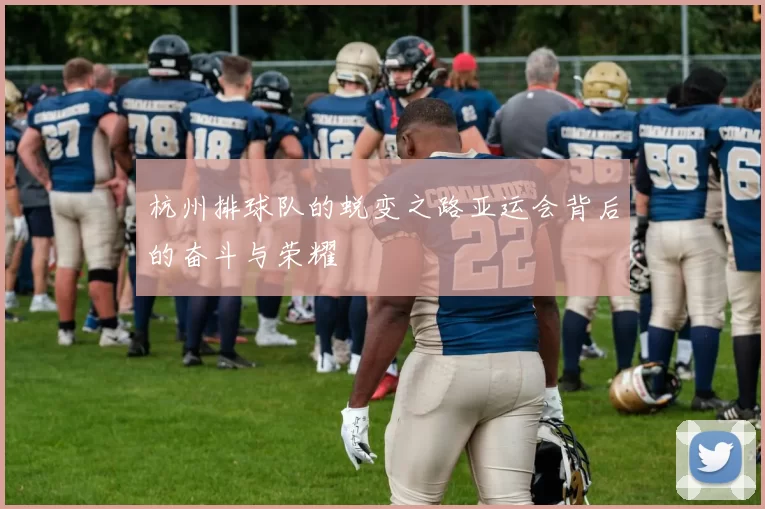 杭州排球队的蜕变之路亚运会背后的奋斗与荣耀