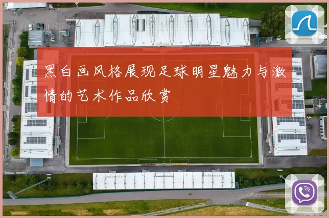 黑白画风格展现足球明星魅力与激情的艺术作品欣赏