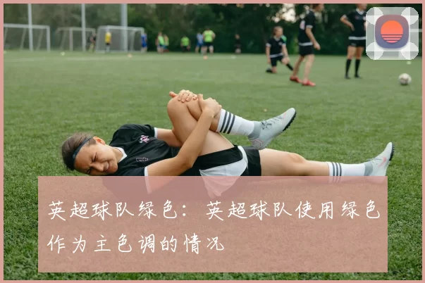 英超球队绿色：英超球队使用绿色作为主色调的情况