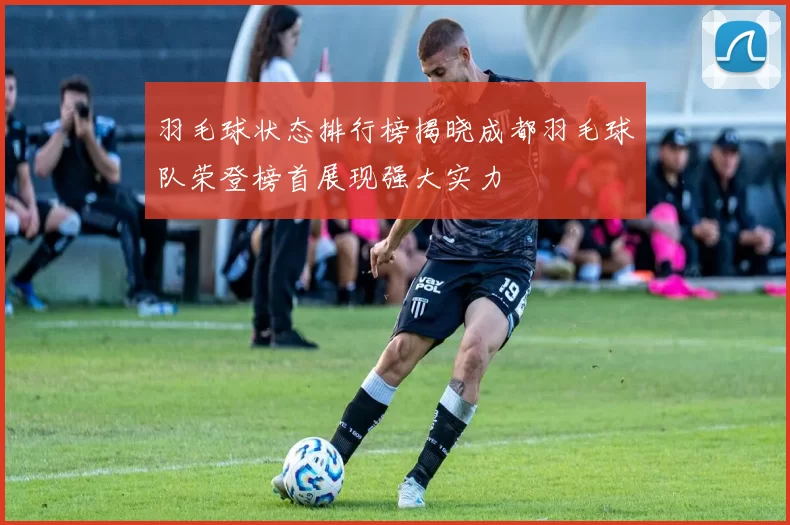 羽毛球状态排行榜揭晓成都羽毛球队荣登榜首展现强大实力