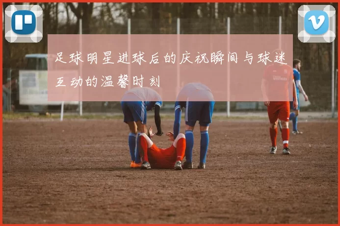 足球明星进球后的庆祝瞬间与球迷互动的温馨时刻