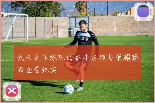 武汉乒乓球队的奋斗历程与荣耀瞬间全景纪实