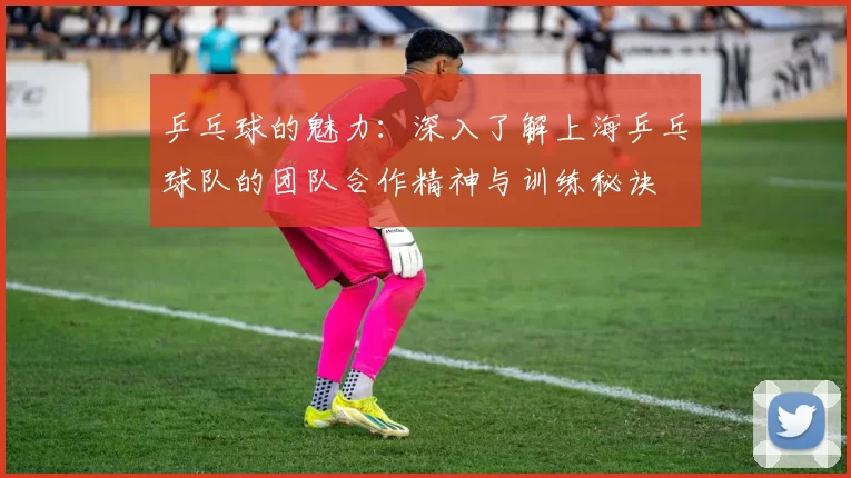 乒乓球的魅力：深入了解上海乒乓球队的团队合作精神与训练秘诀