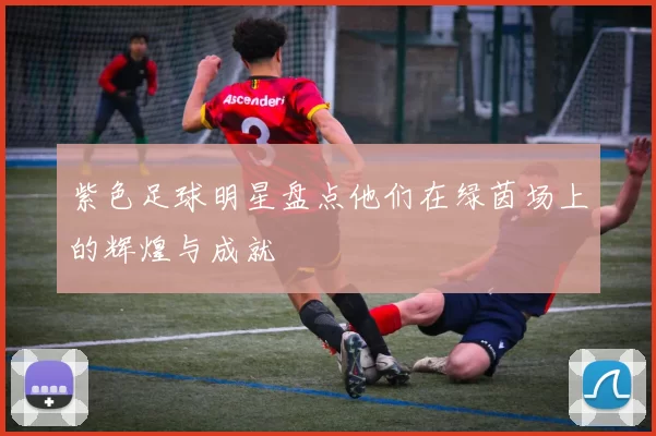 紫色足球明星盘点他们在绿茵场上的辉煌与成就