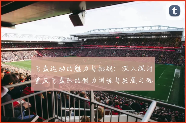飞盘运动的魅力与挑战：深入探讨重庆飞盘队的耐力训练与发展之路