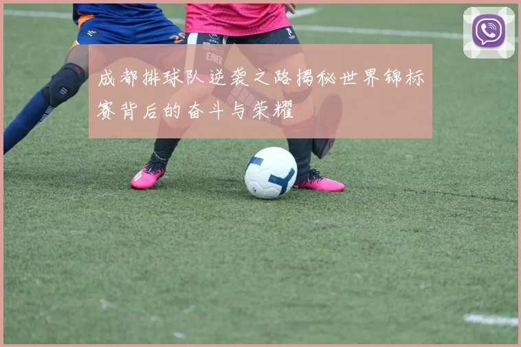 成都排球队逆袭之路揭秘世界锦标赛背后的奋斗与荣耀