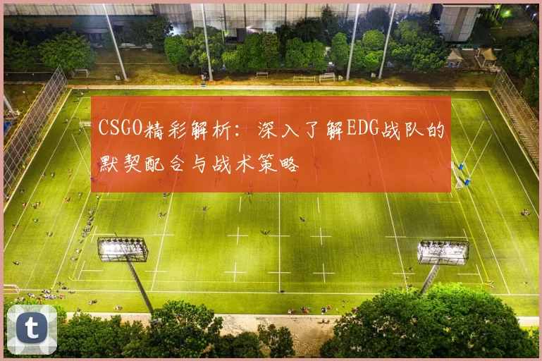 CSGO精彩解析：深入了解EDG战队的默契配合与战术策略