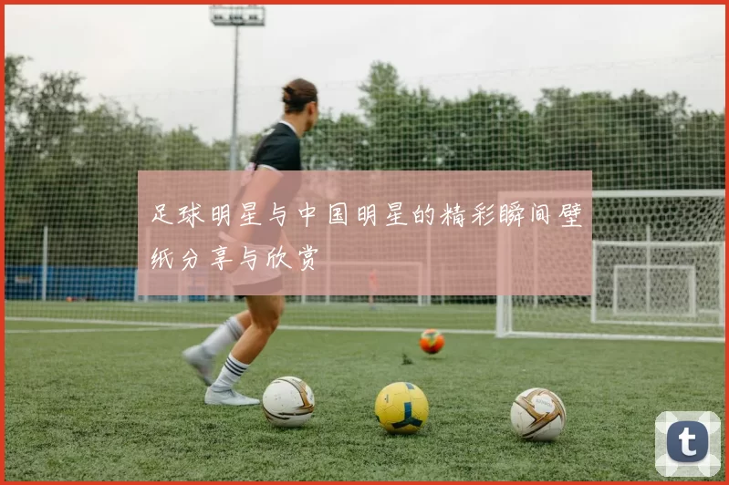 足球明星与中国明星的精彩瞬间壁纸分享与欣赏