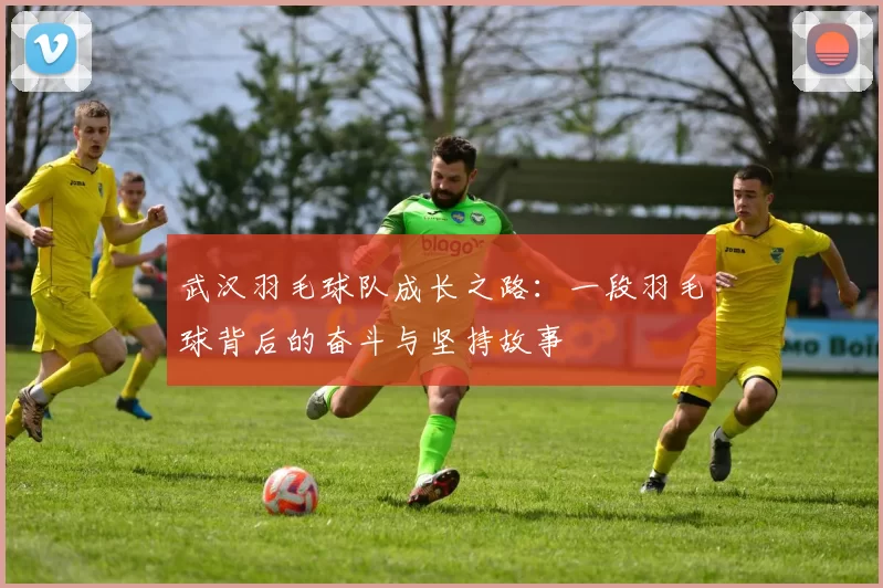 武汉羽毛球队成长之路：一段羽毛球背后的奋斗与坚持故事