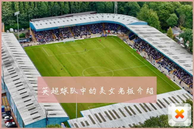 英超球队中的美女老板介绍