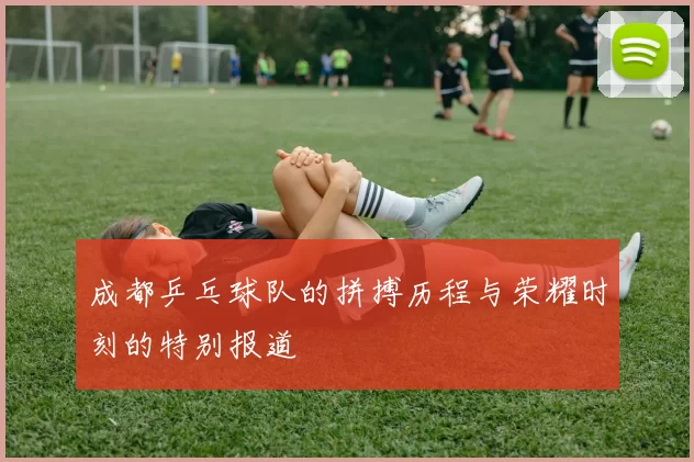 成都乒乓球队的拼搏历程与荣耀时刻的特别报道